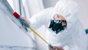 Best Pest Exclusion Services  in Taylorsville, KY